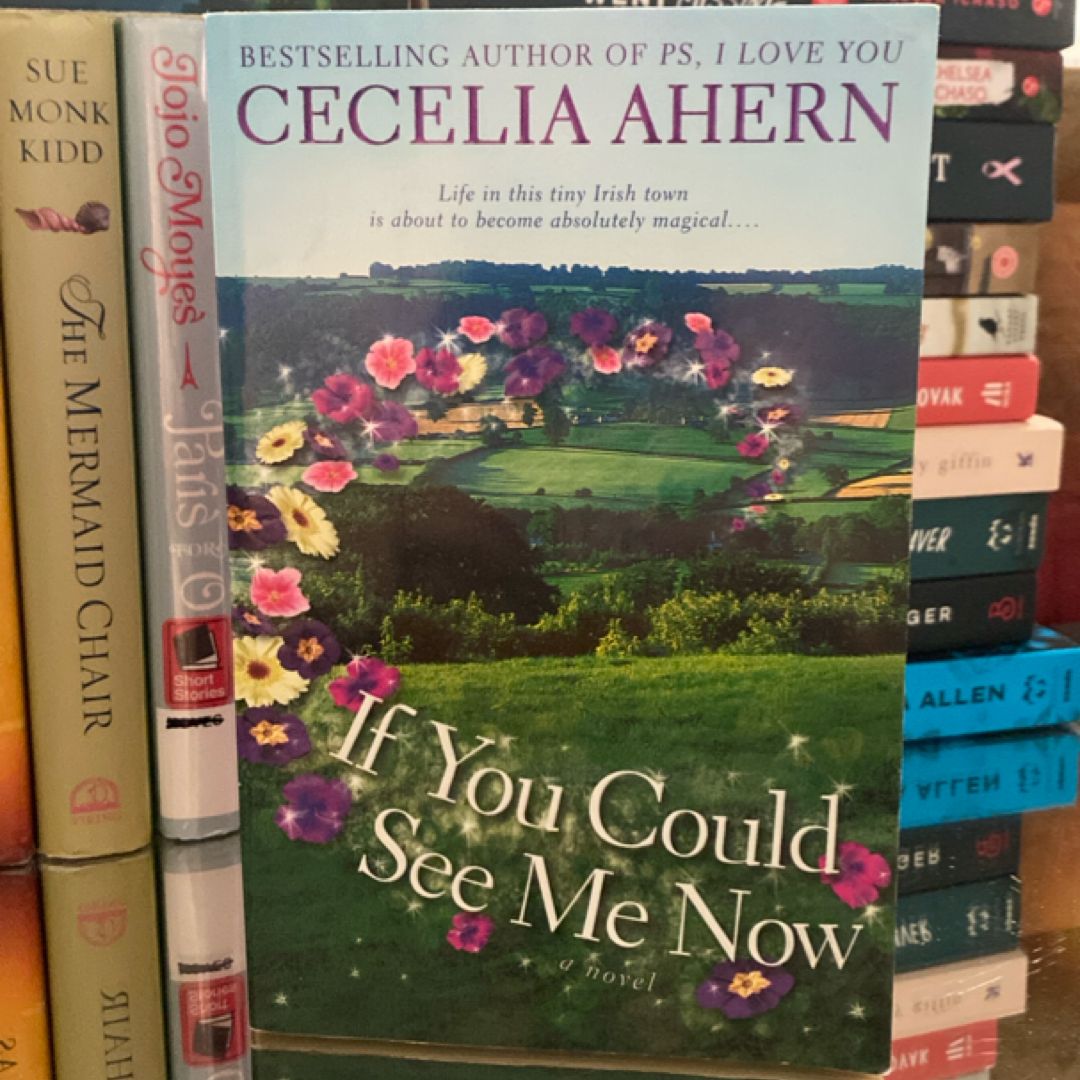 If You Could See Me Now