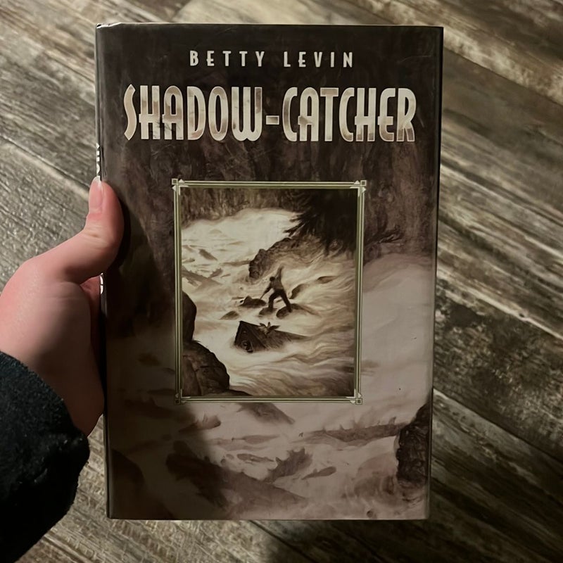 Shadow-Catcher