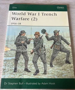 World War I Trench Warfare (2)