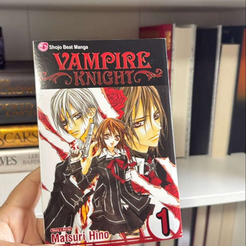 Vampire Knight, Vol. 1