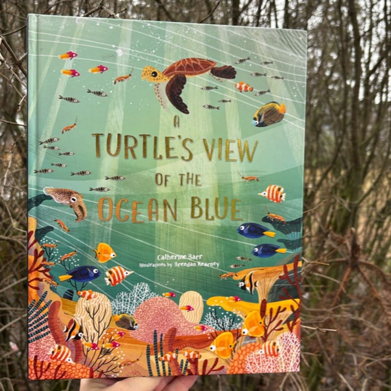 A Turtle's View of the Ocean Blue by Catherine Barr