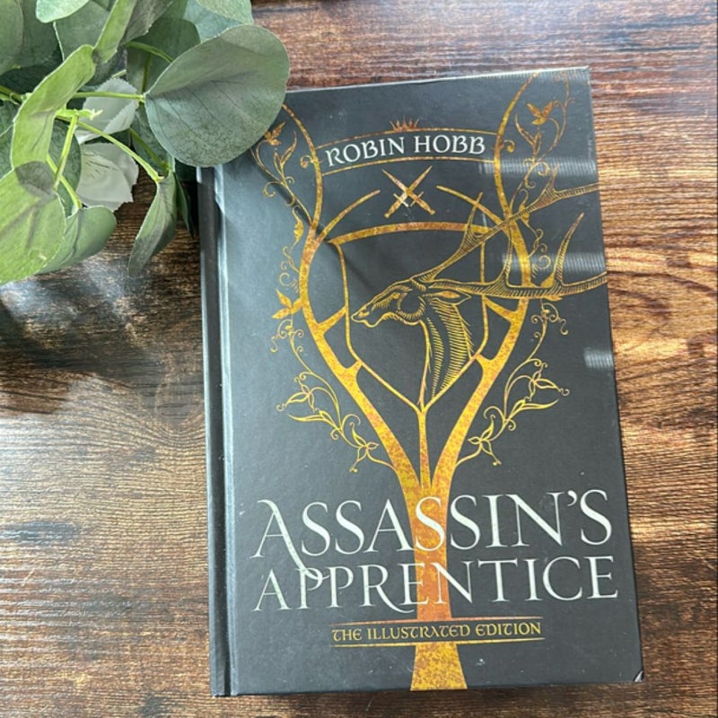 Assassin's Apprentice (the Illustrated Edition)