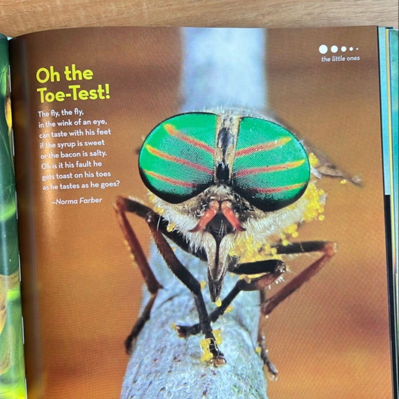 National Geographic Kids Book of Animal Poetry