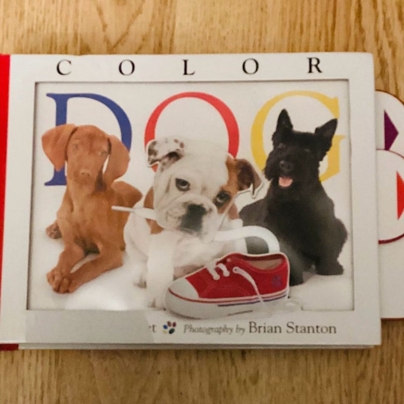 Color Dog