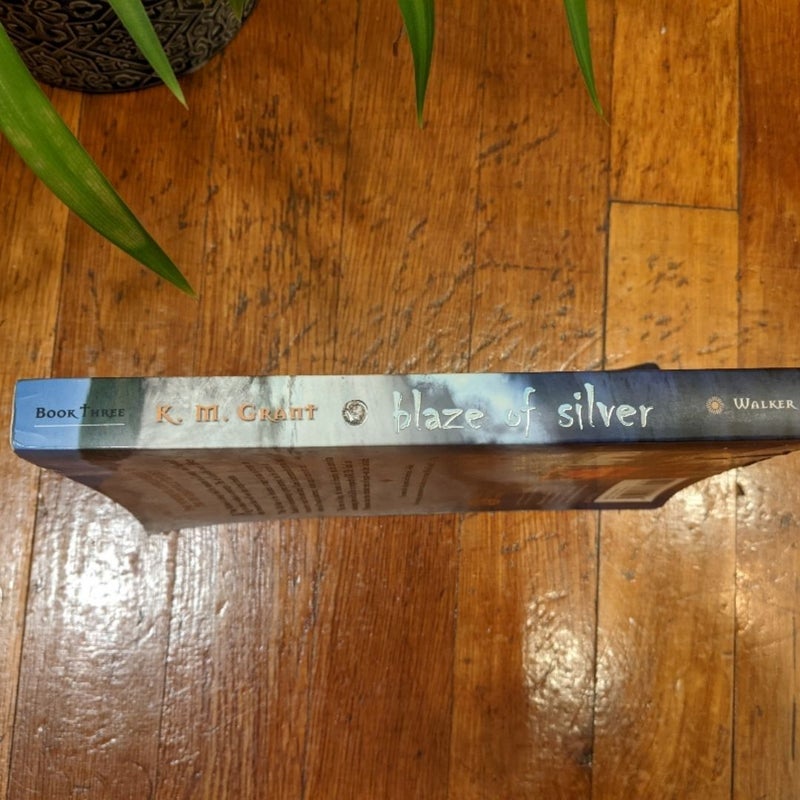 Blaze of Silver