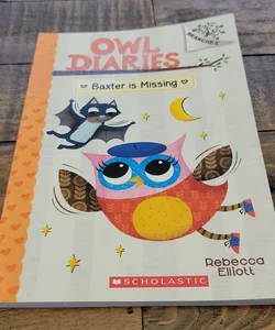 Baxter Is Missing - A Branches Book