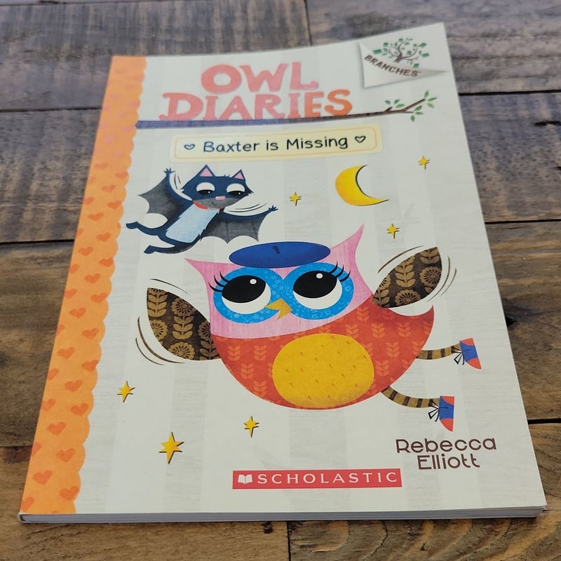 Baxter Is Missing - A Branches Book