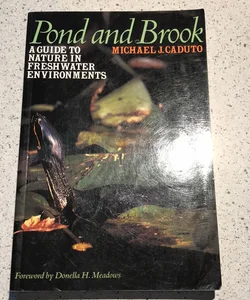 Pond and Brook
