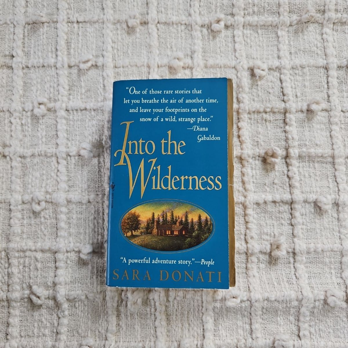 Into the Wilderness by Sara Donati