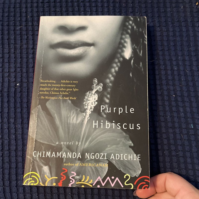 Purple Hibiscus