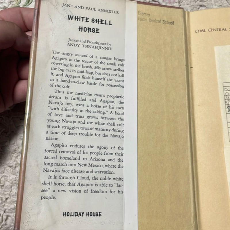 White Shell Horse