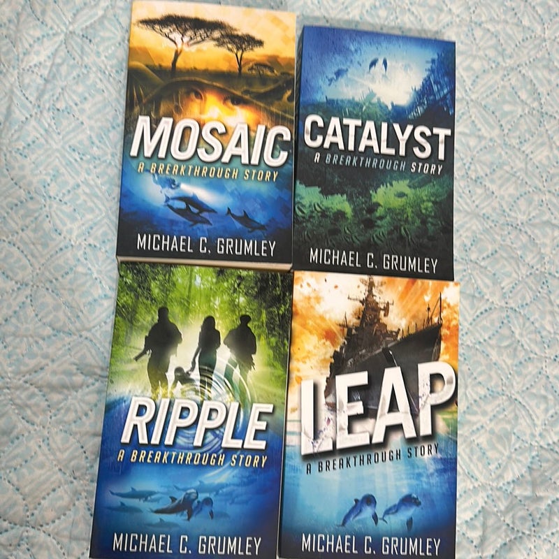 NEW! 4 Book Bundle - Breakthrough Series 