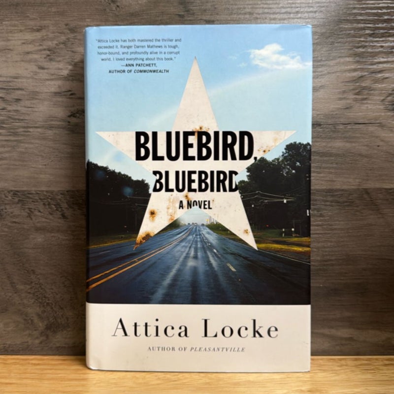 Bluebird, Bluebird
