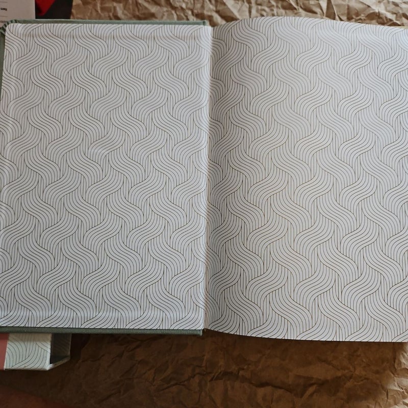 NLT DaySpring Hope and Encouragement Bible (Hardcover Deluxe, Seafoam Green)