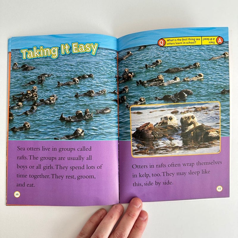 National Geographic Kids: Sea Otters, Reader