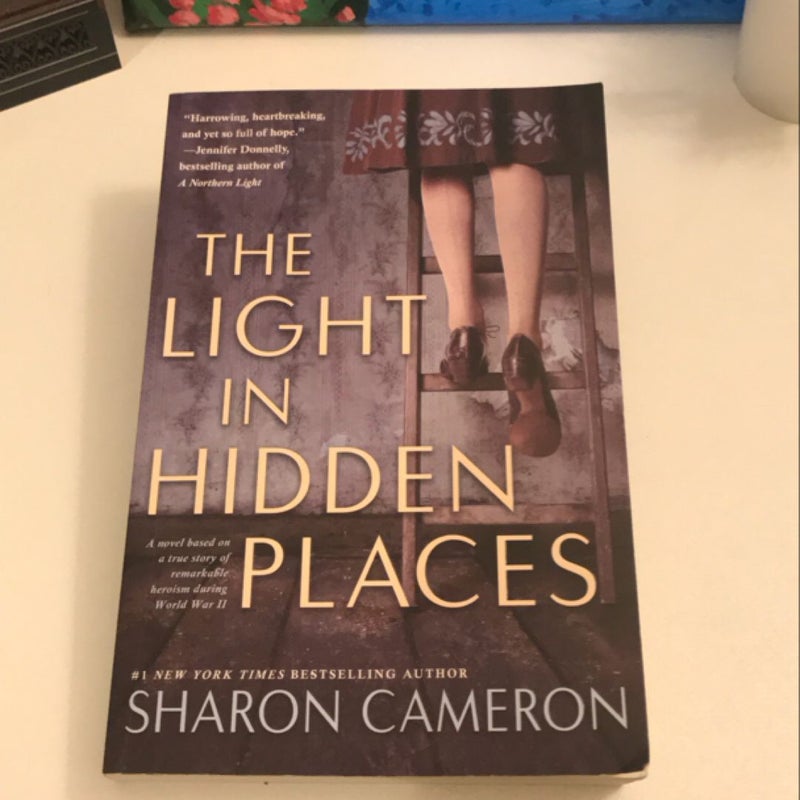 The Light In Hidden Places