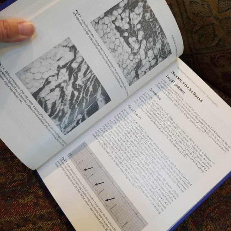 Essentials of Autopsy Practice by Guy N. Rutty
