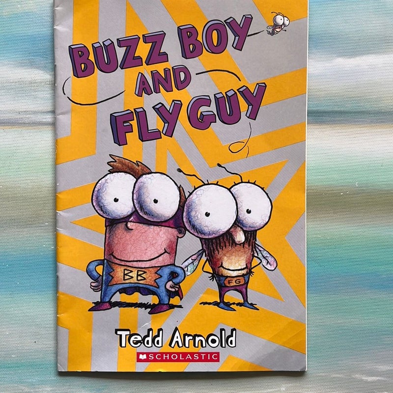 Fly Guy Lot