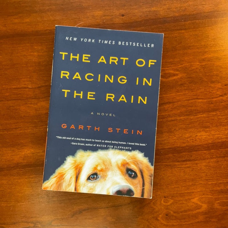 The Art of Racing in the Rain