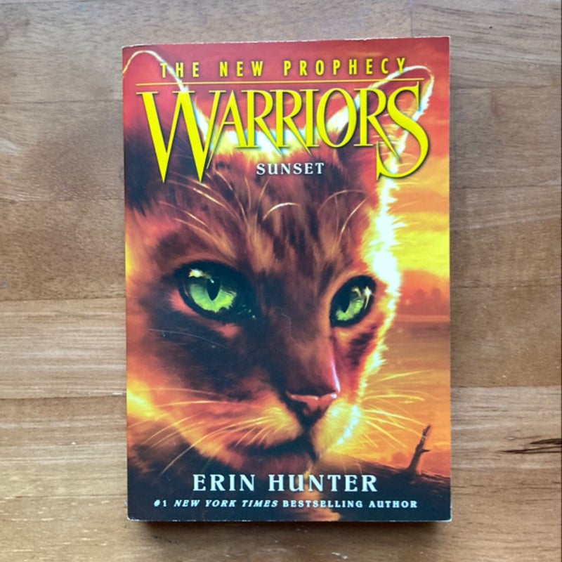 Warriors- 5 book bundle 