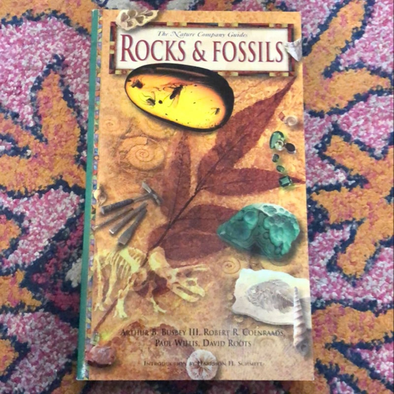 Rocks and Fossils