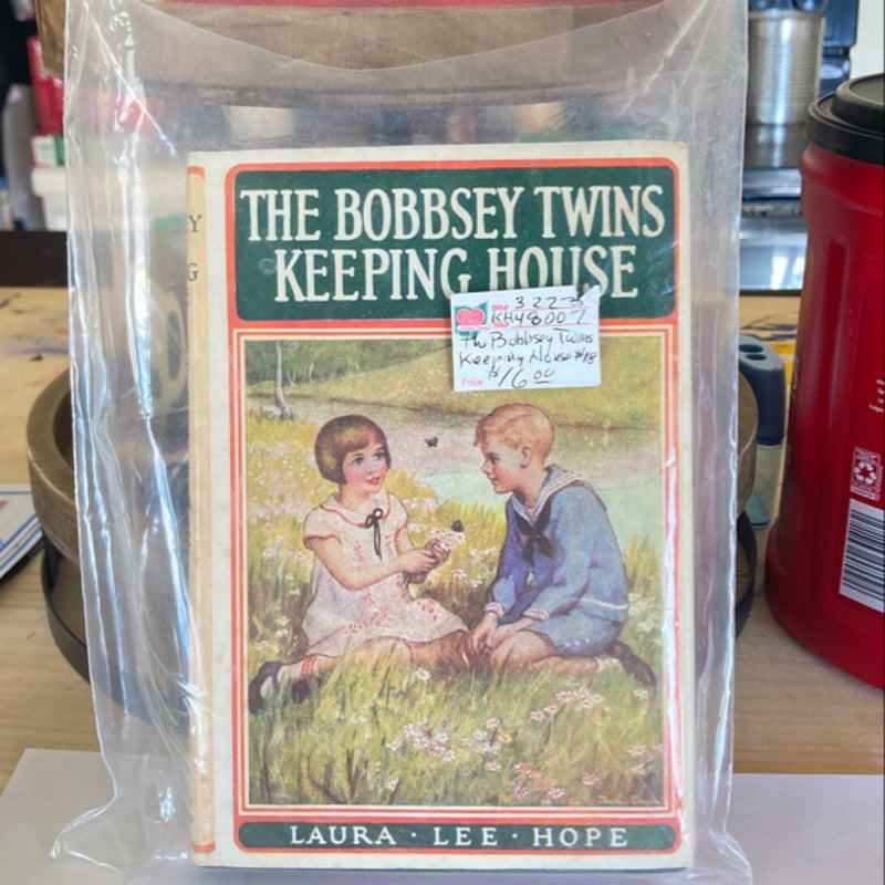 The Bobbsey Twins Keeping House (VINTAGE 1925)