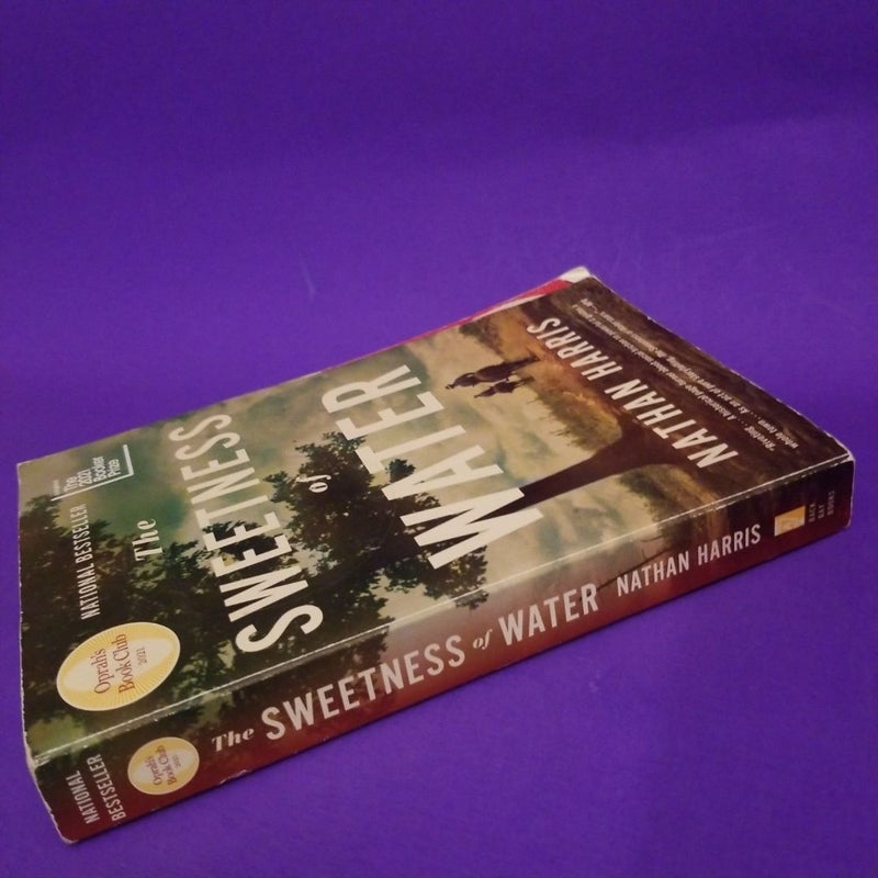 The Sweetness of Water (Oprah's Book Club)