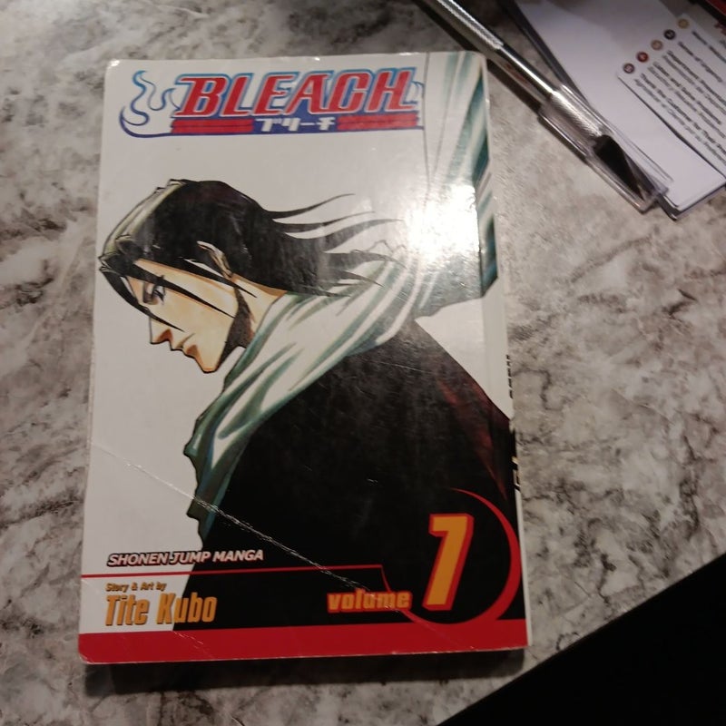 Bleach, Vol. 7