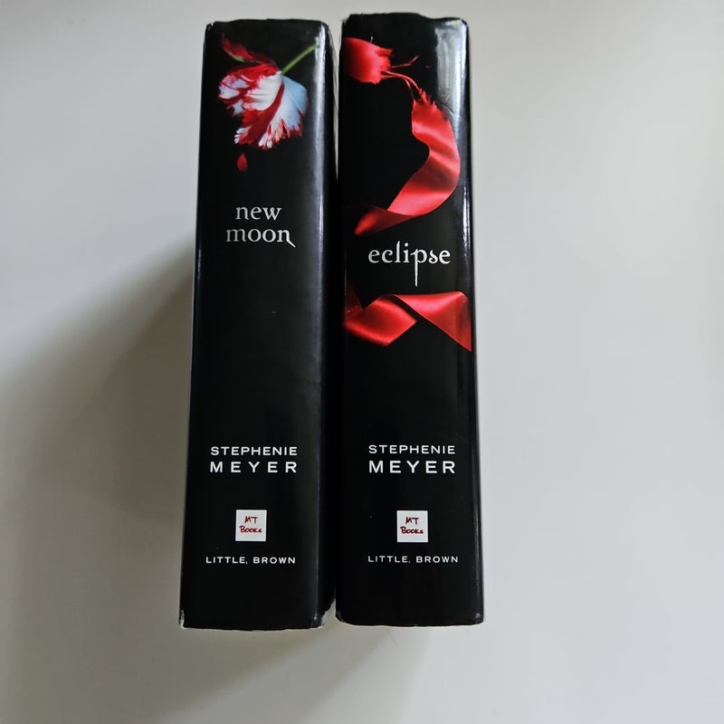 Eclipse and New Moon 