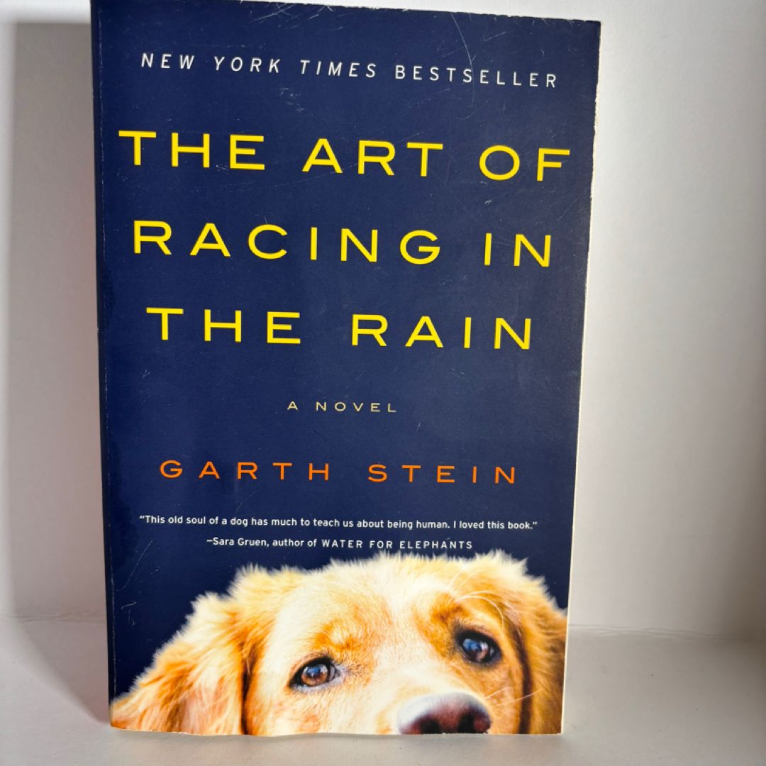 The Art of Racing in the Rain