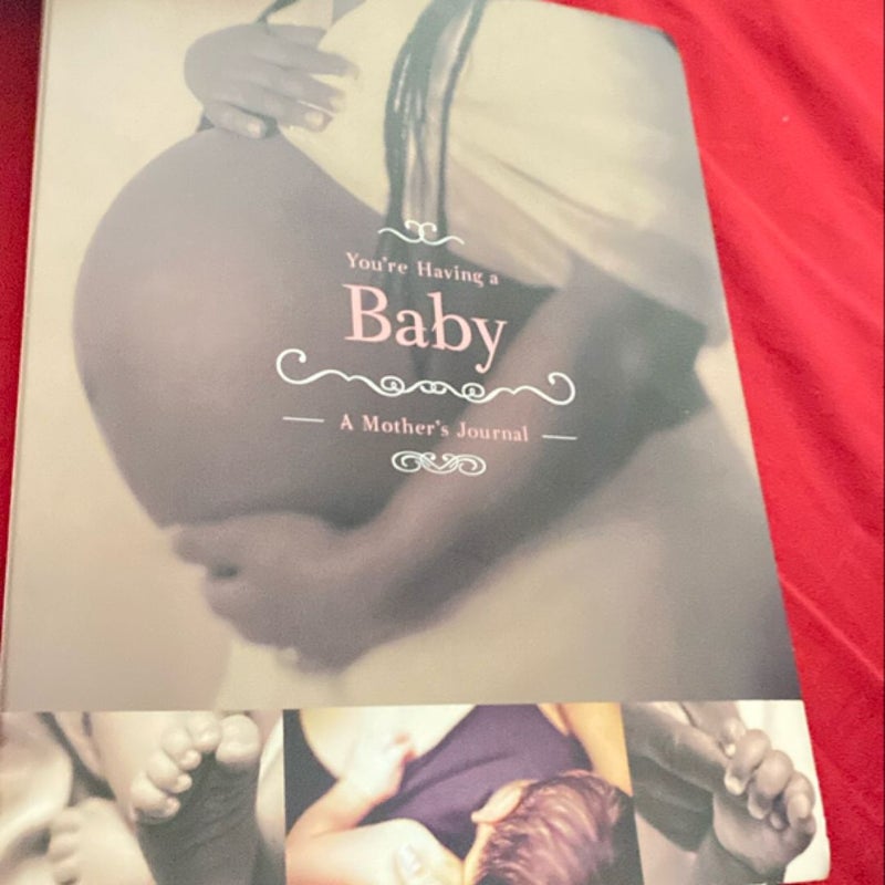 A Mothers Baby Journal