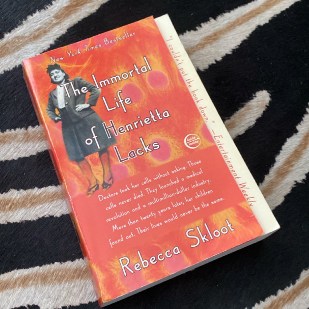 Sale image for cb97c72a-99f7-43fc-ae48-728ca969b54e-rYUUcGSGgcchtafqcabrXv6TTqA3