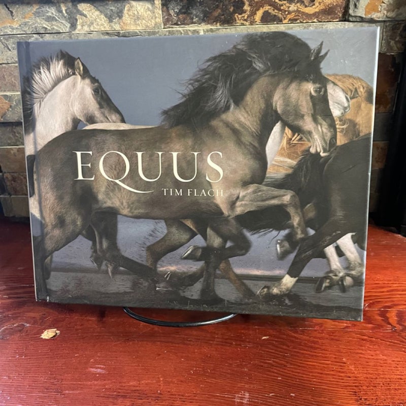 Equus (Mini)