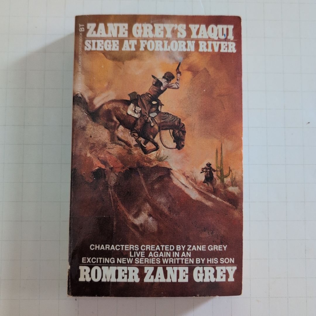 Siege at Forlorn River