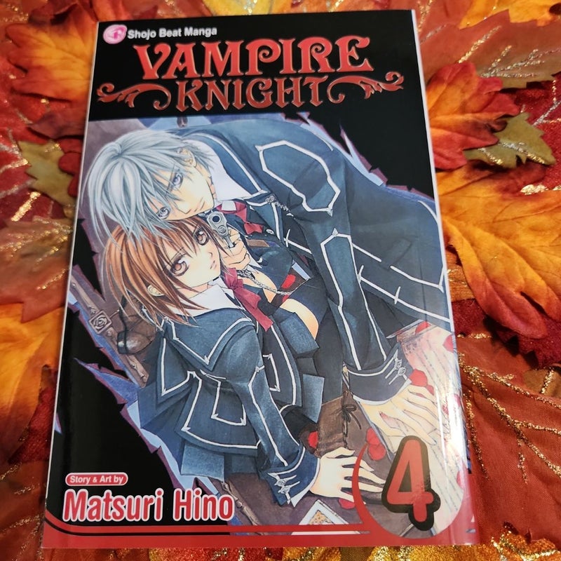 Vampire Knight, Vol. 4