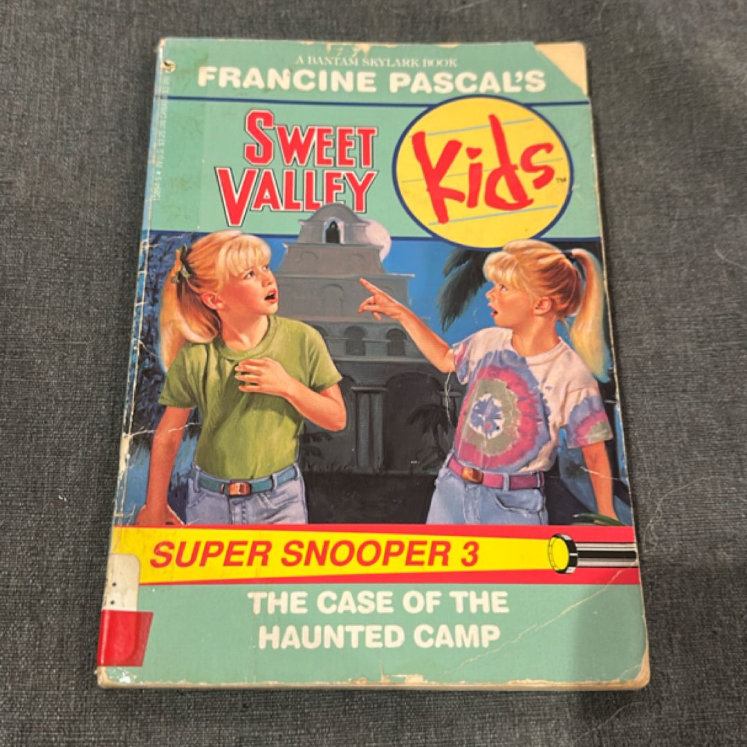 The Case of the Haunted Camp