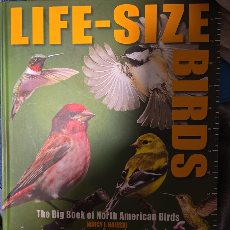 Life-Size Birds