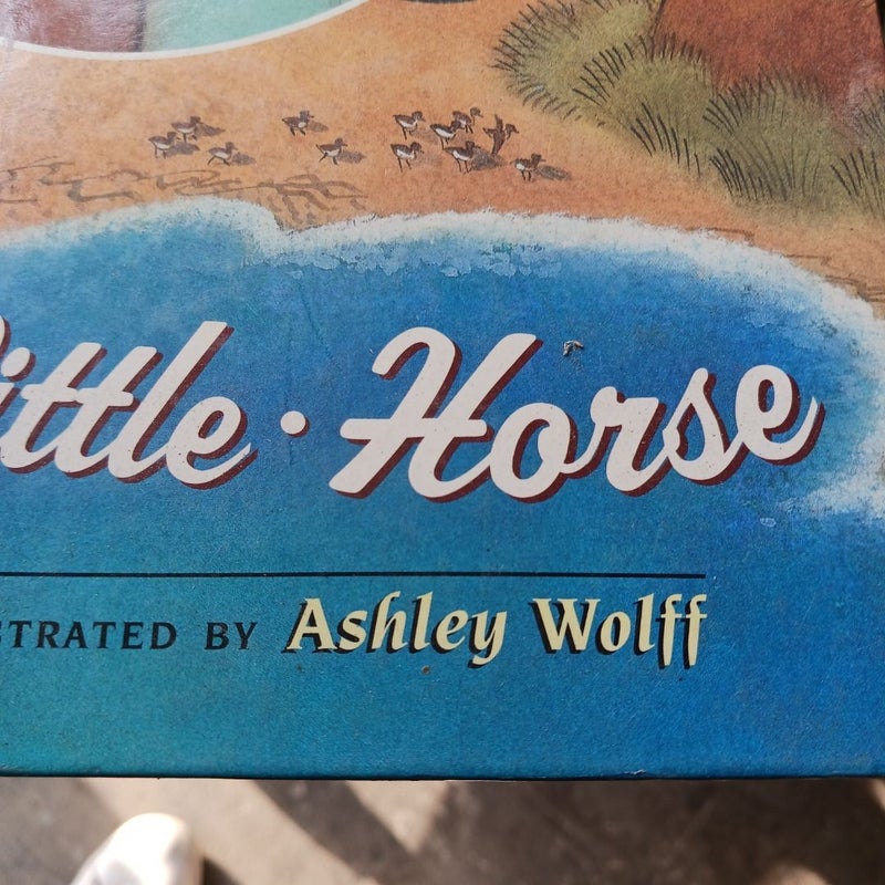 The Wild Little Horse