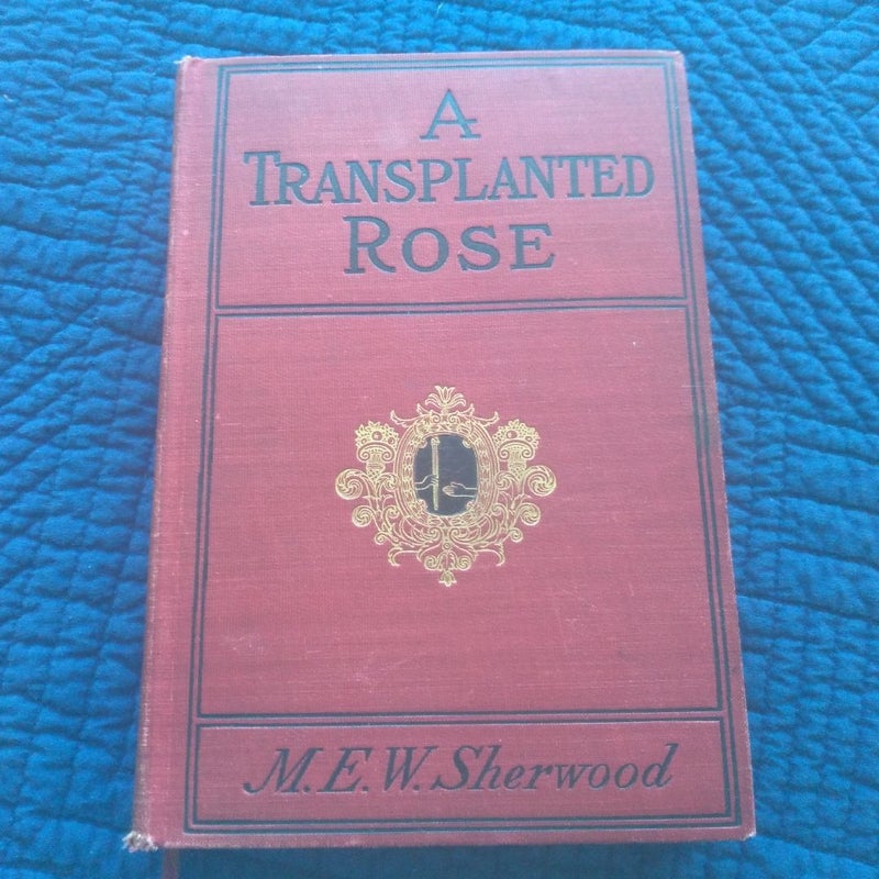 A Transplanted Rose