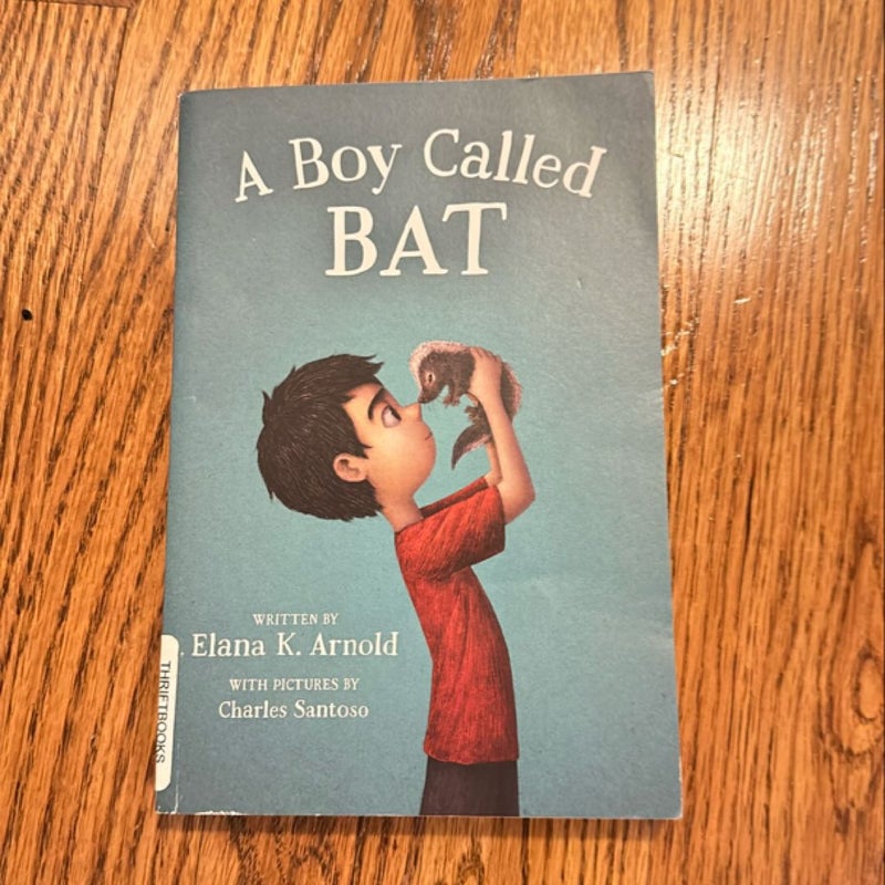 A Boy Called Bat