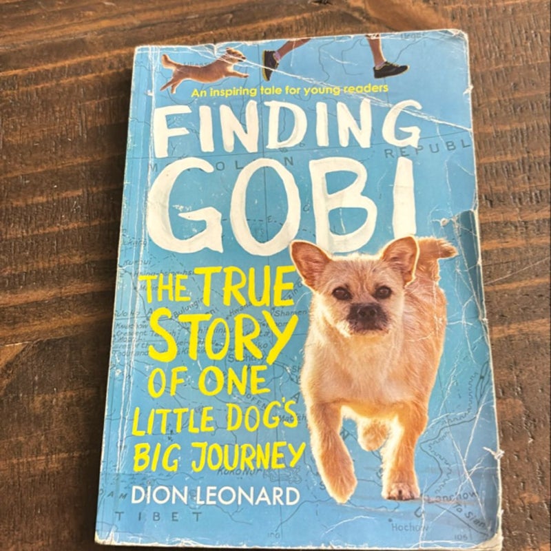 Finding Gobi