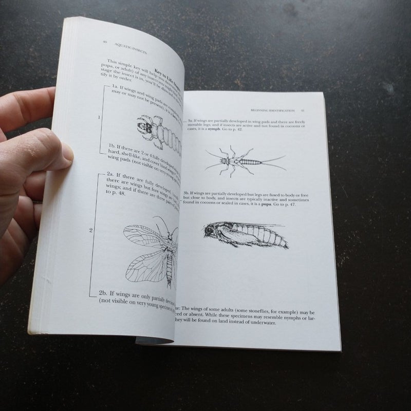 An Angler's Guide to Aquatic Insects and Their Imitations