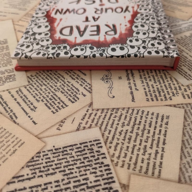 Read at Your Own Risk by Remy Lai