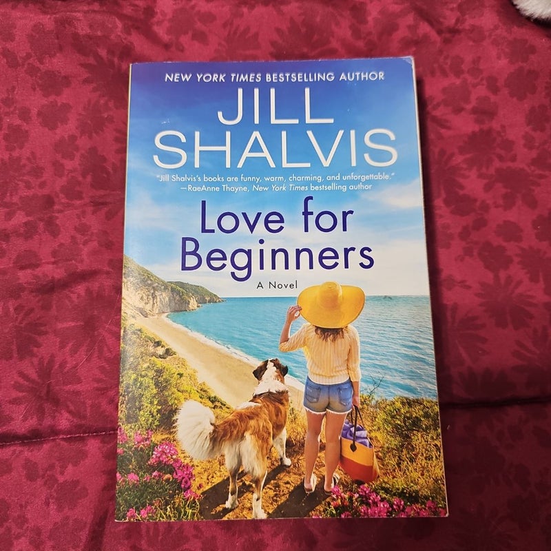 Love for Beginners