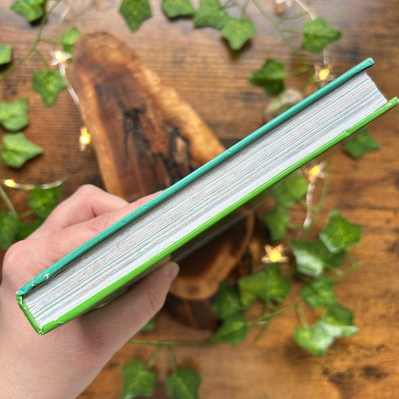 The Big Green Book of Beginner Books