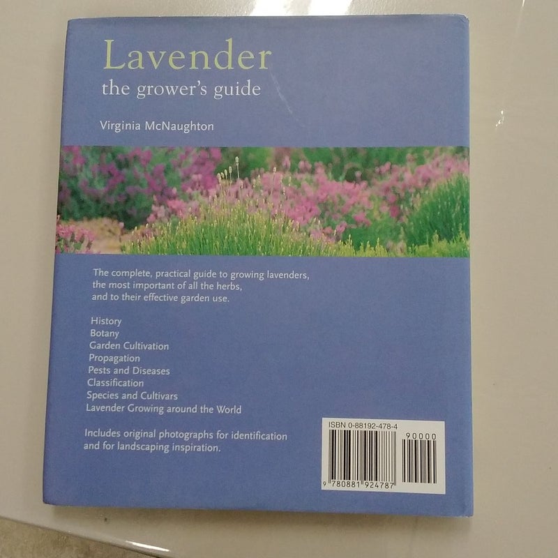 Lavender