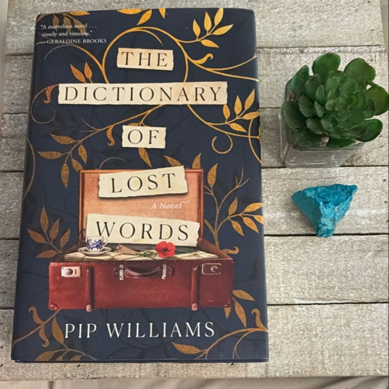 The Dictionary of Lost Words