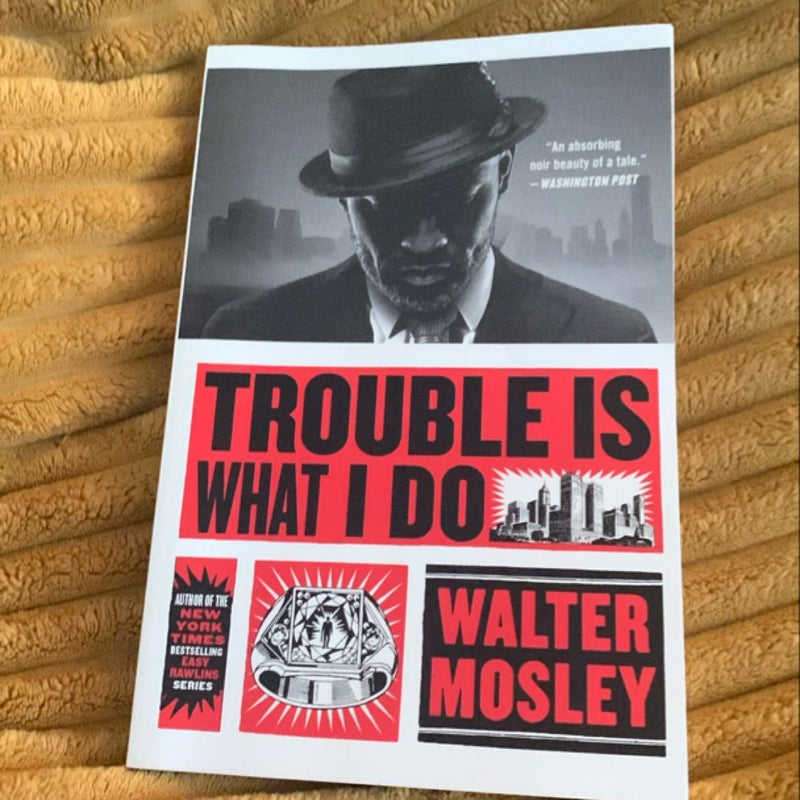 Trouble Is What I Do
