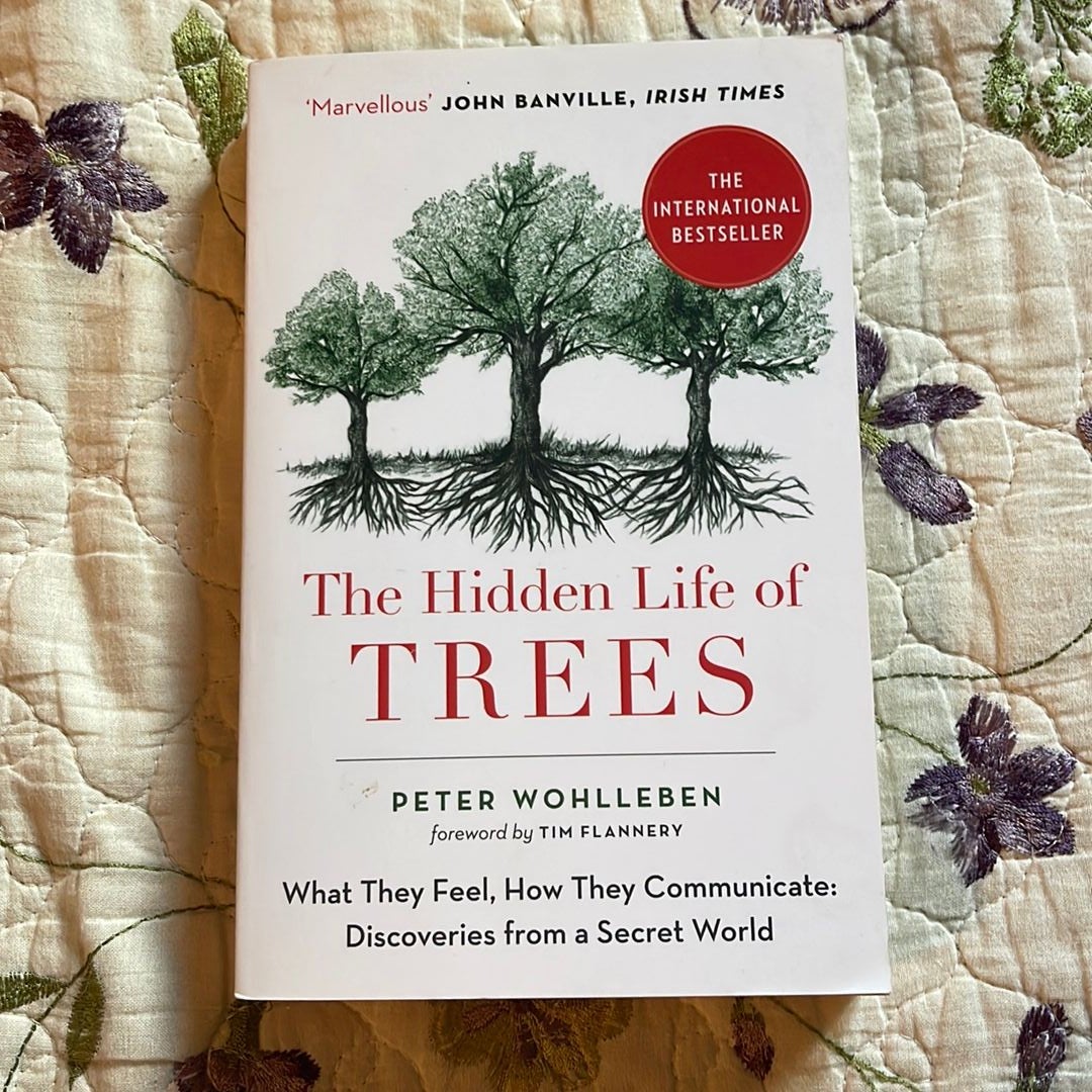 The Hidden Life of Trees