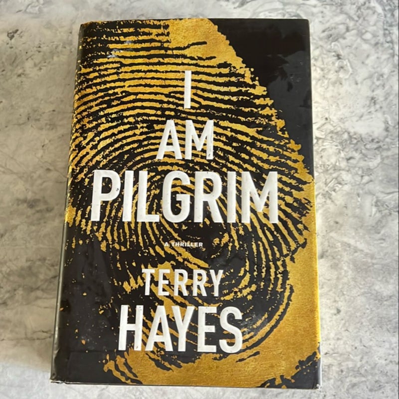 I Am Pilgrim